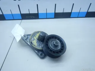 PT3011 Ролик-натяжитель ручейкового ремня Ford C-max 1 Арт E60647478