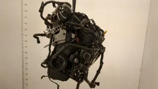 DGTE Двигатель Skoda Octavia A7 Арт 20450228, вид 1