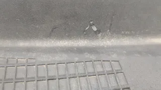 668621JA1A,455311100 Решетка стеклоочистителя (Дождевик) Nissan Quest 4 Арт 20285310, вид 5