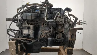 5801520336 Стартер Iveco Euro Cargo 6.7л Турбо Арт 11420209, вид 1