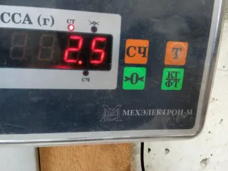 3C0513049BP Амортизатор задний Volkswagen Passat B6 Арт 2-515230, вид 9