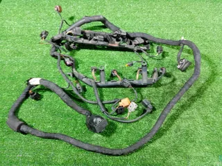 03C971604AE Проводка двигателя Volkswagen Passat B7 Арт 2-965480, вид 1