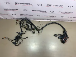 8K2971072GA Проводка двигателя Audi Q5 1 Арт 2-967526, вид 2