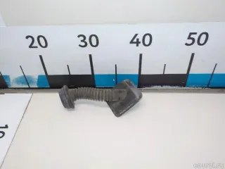 653884 Гофра Citroen Berlingo 3 Арт E51919527, вид 5